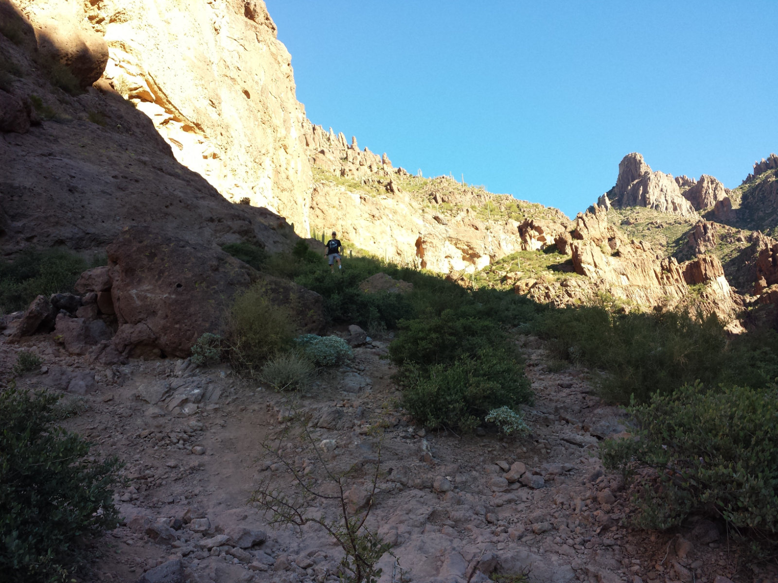 Siphon Draw at Lost Dutchman State Park