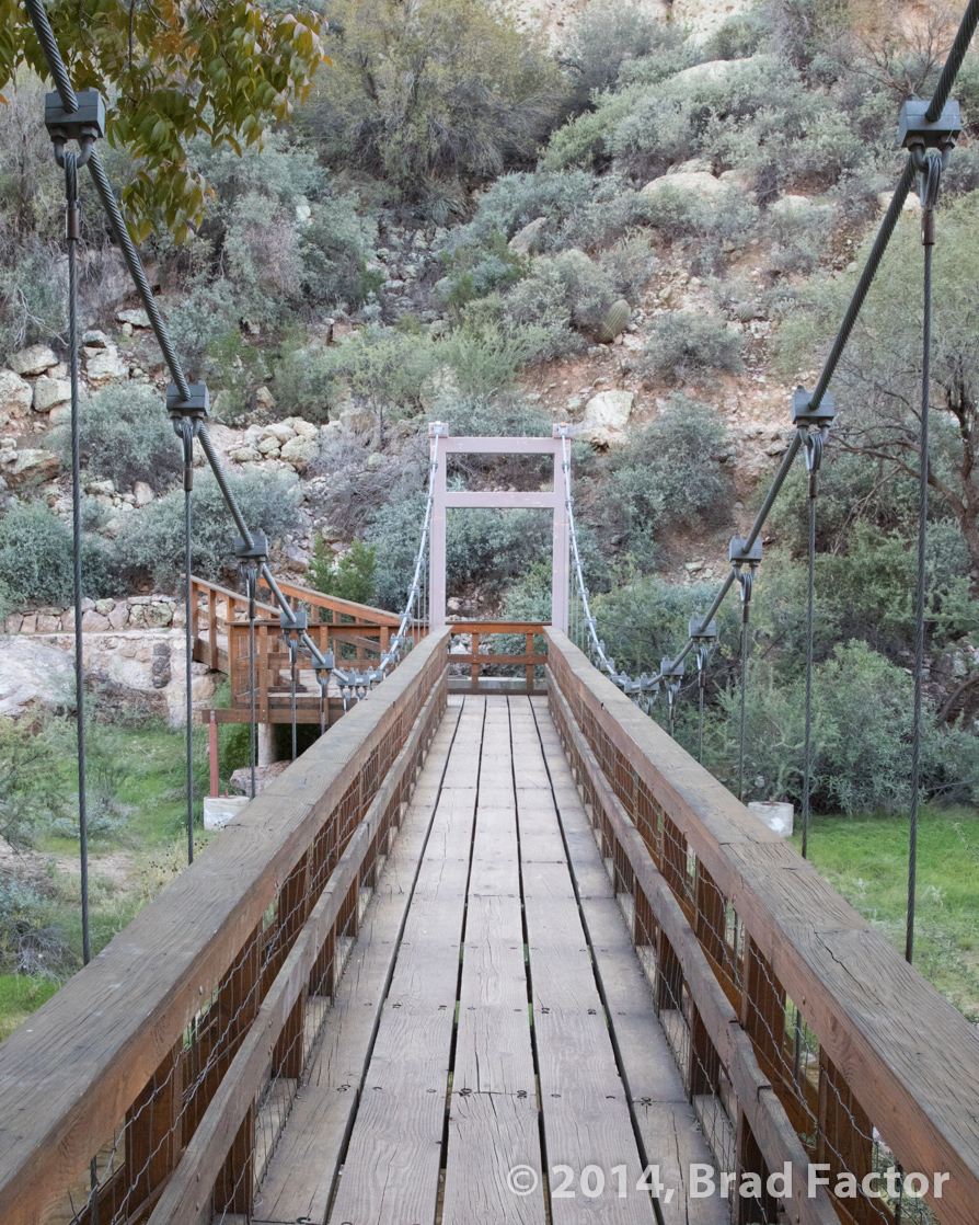 Suspension Bridge at Boyce Thompson Arboretum