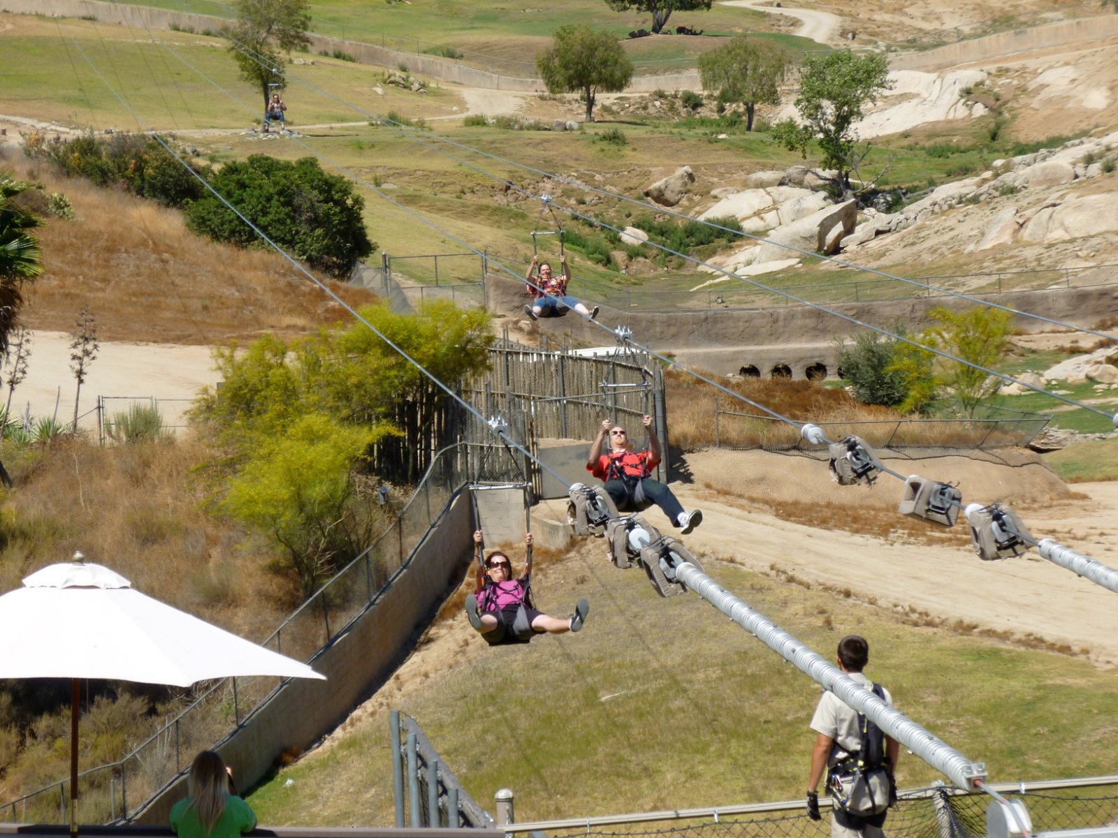 San Diego Zoo Safari Park Zip-line