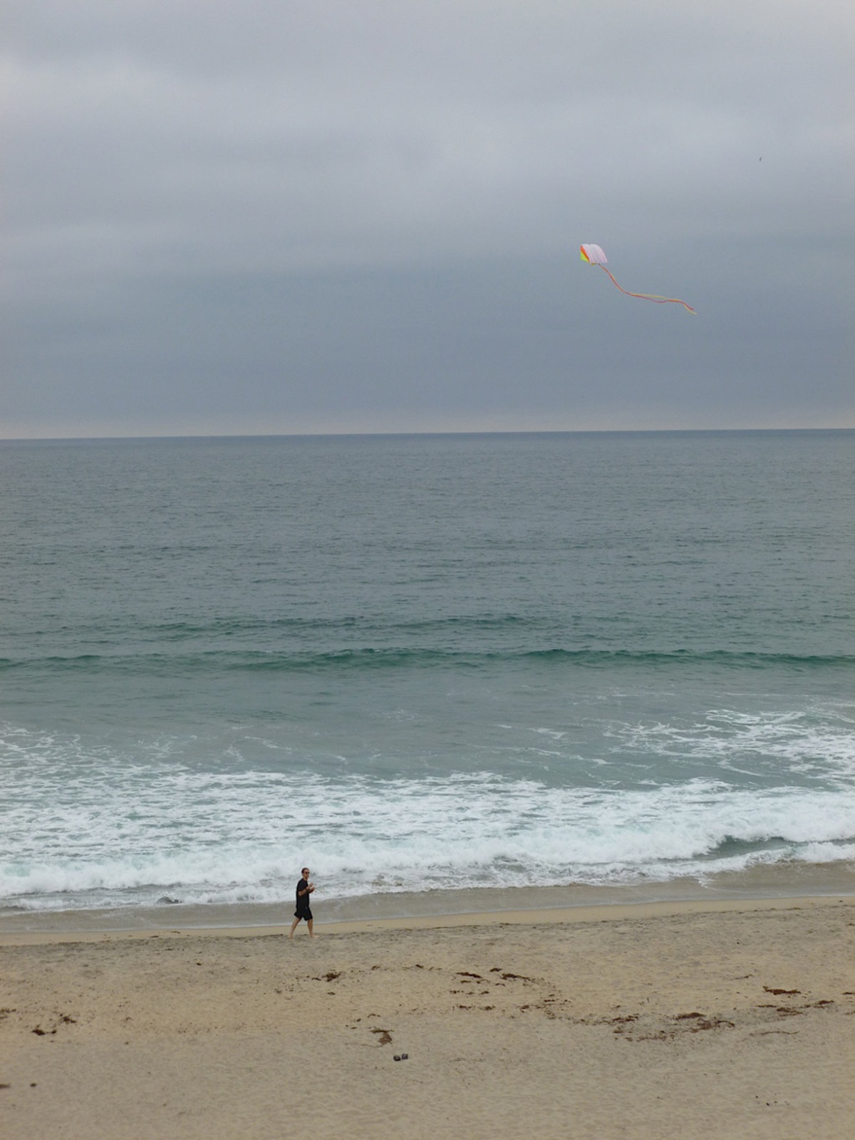 Flying a Kite in Carlsbad