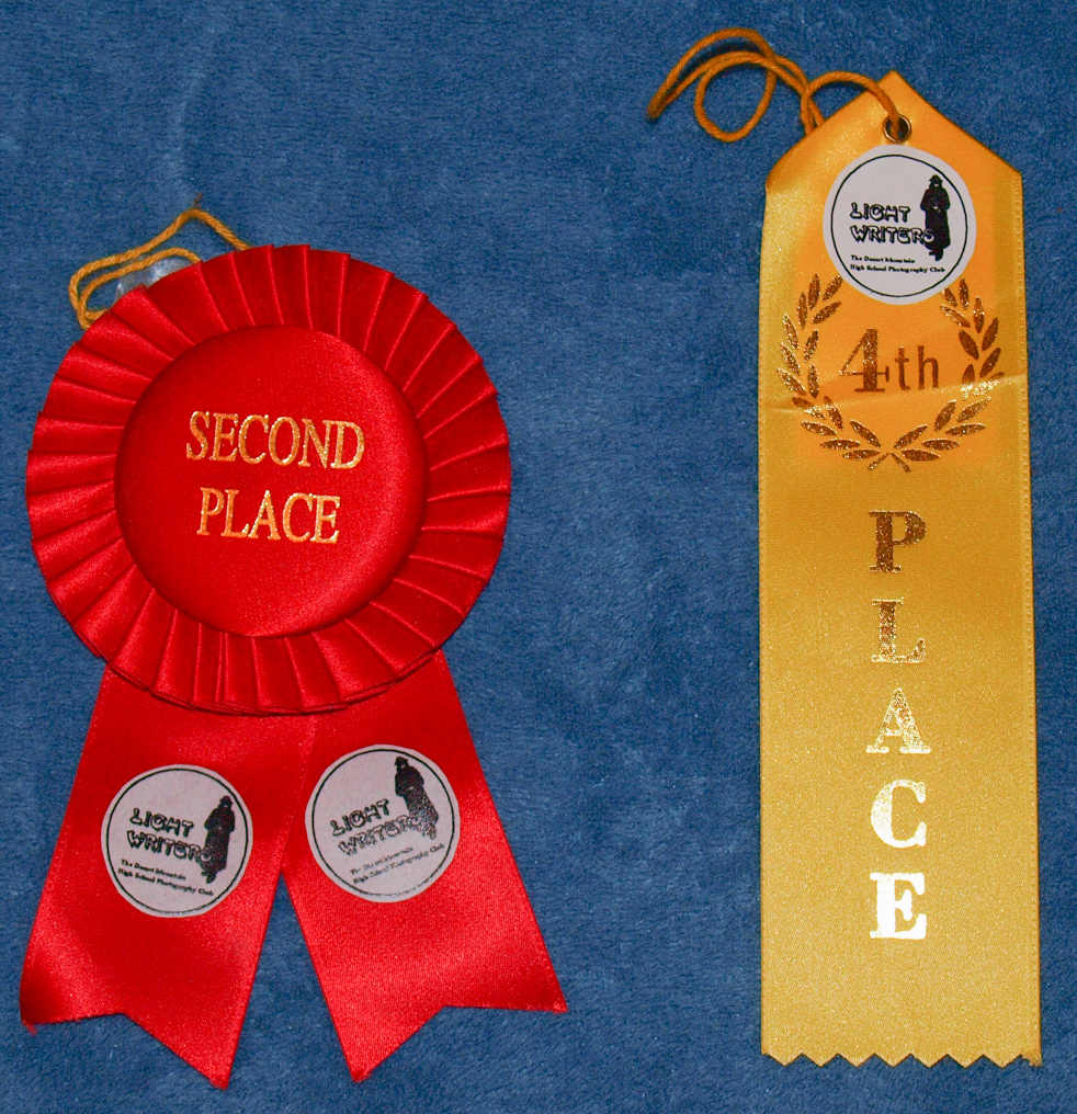 Photo Contest Ribbons