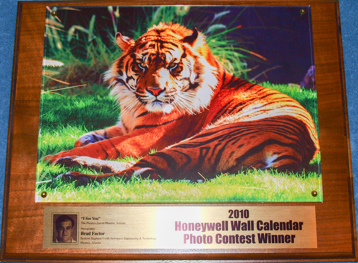 Wall Calendar Winner Plaque