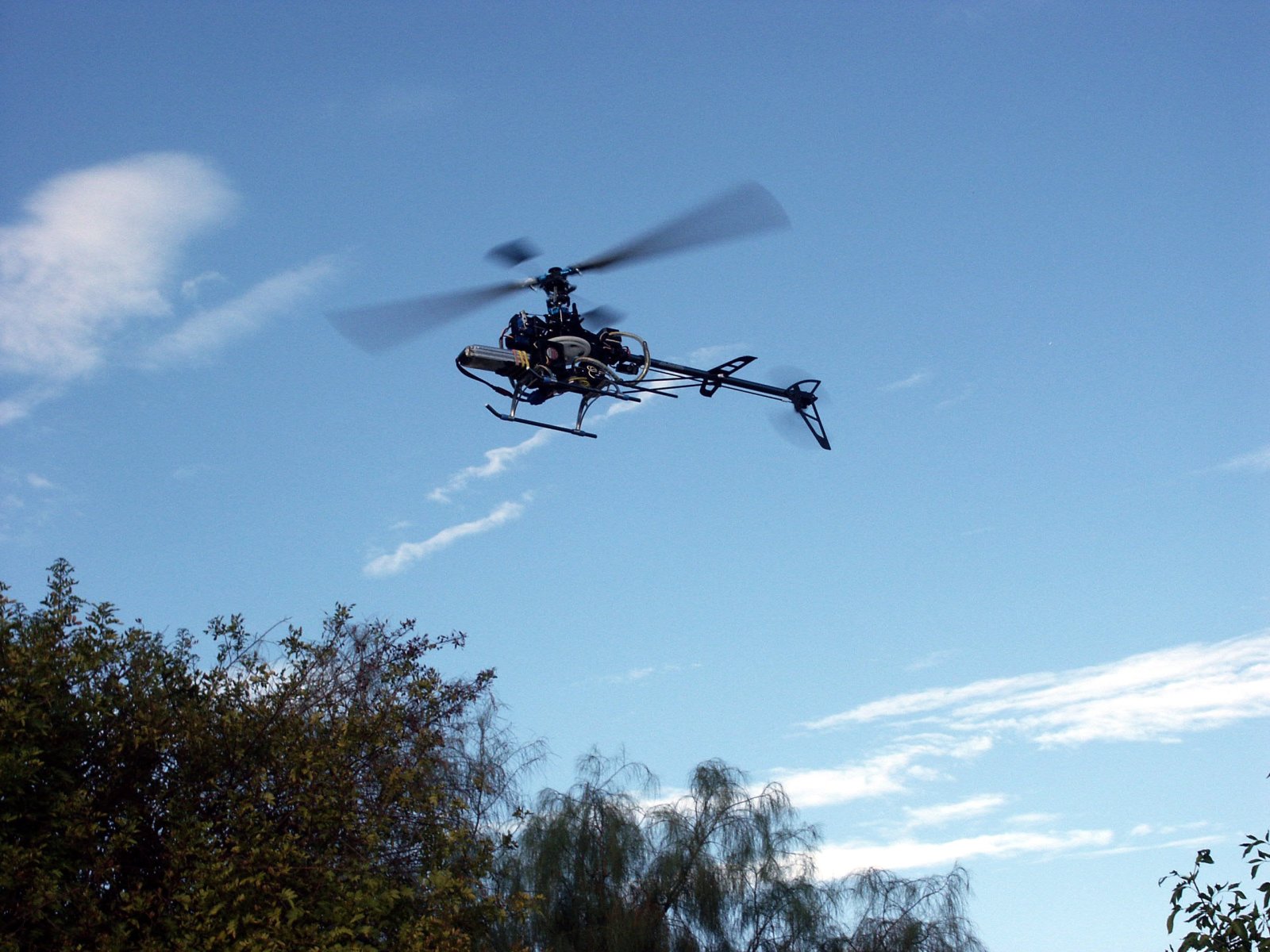 T-Rex 450XL Flying at Park