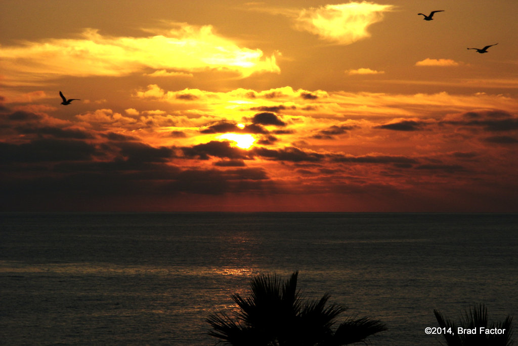 Sunset in Carlsbad